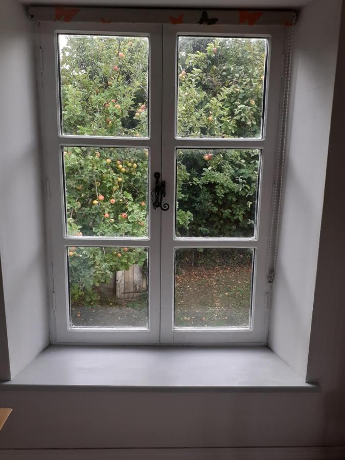 Characterful Cottage Adjacent To An Orchard Brockley Εξωτερικό φωτογραφία
